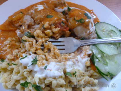 chicken paprika with nokedli