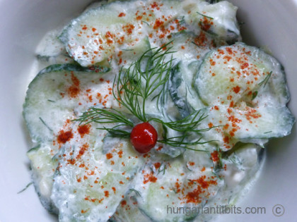 Hungarian Cucumber Salad with sour cream and dill