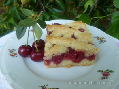 Hungarian Cherry Cake