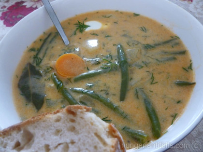 hungarian green bean soup