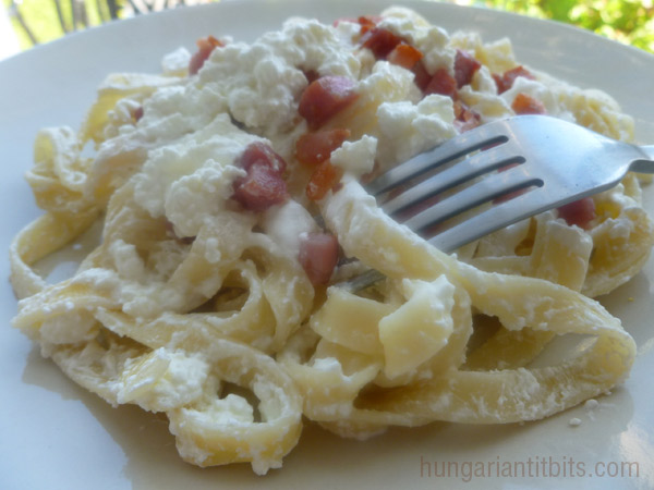 Hungarian Quark Cheese Noodles