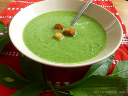 wild garlic soup