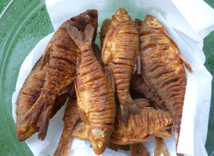 Fried breem fish - sult keszeg